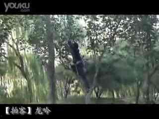 情侣野战高清视频,情侣私密瞬间高清揭秘