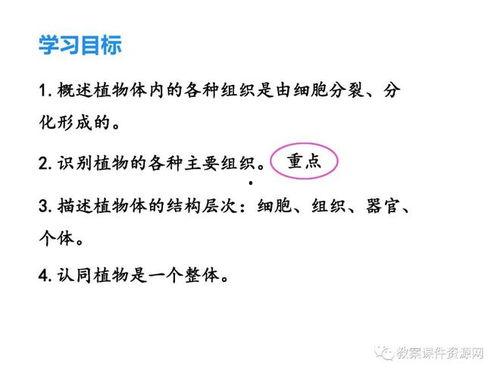 初一生物教学视频,探索生命奥秘之旅