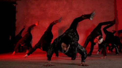 蝎子腿视频,探寻神秘生物的奇特构造与运动方式