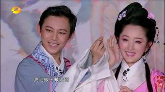 偶像来了黄梅戏视频,重温经典魅力瞬间