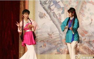 偶像来了黄梅戏视频,重温经典魅力瞬间