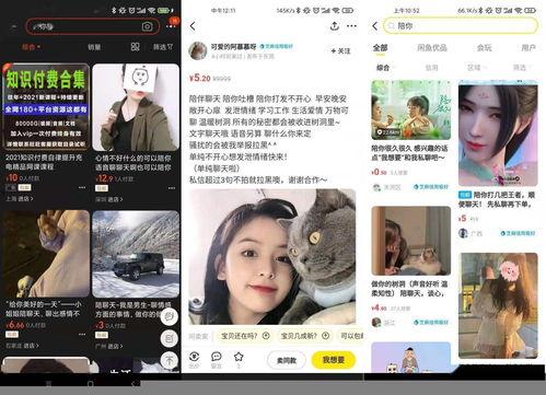 视频陪聊,打造全新社交体验,畅享云端互动时光