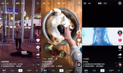 小鸿视频,揭秘生活点滴,展现人间真情